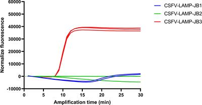 Development of a new loop-mediated isothermal amplification test for the sensitive, rapid, and economic detection of different genotypes of Classical swine fever virus